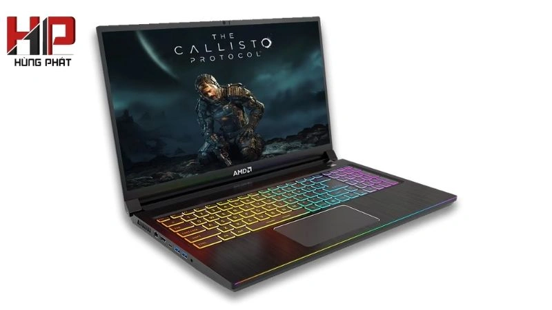Laptop VGA AMD
