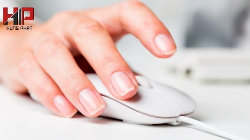 Chuột theo Nhu cầu