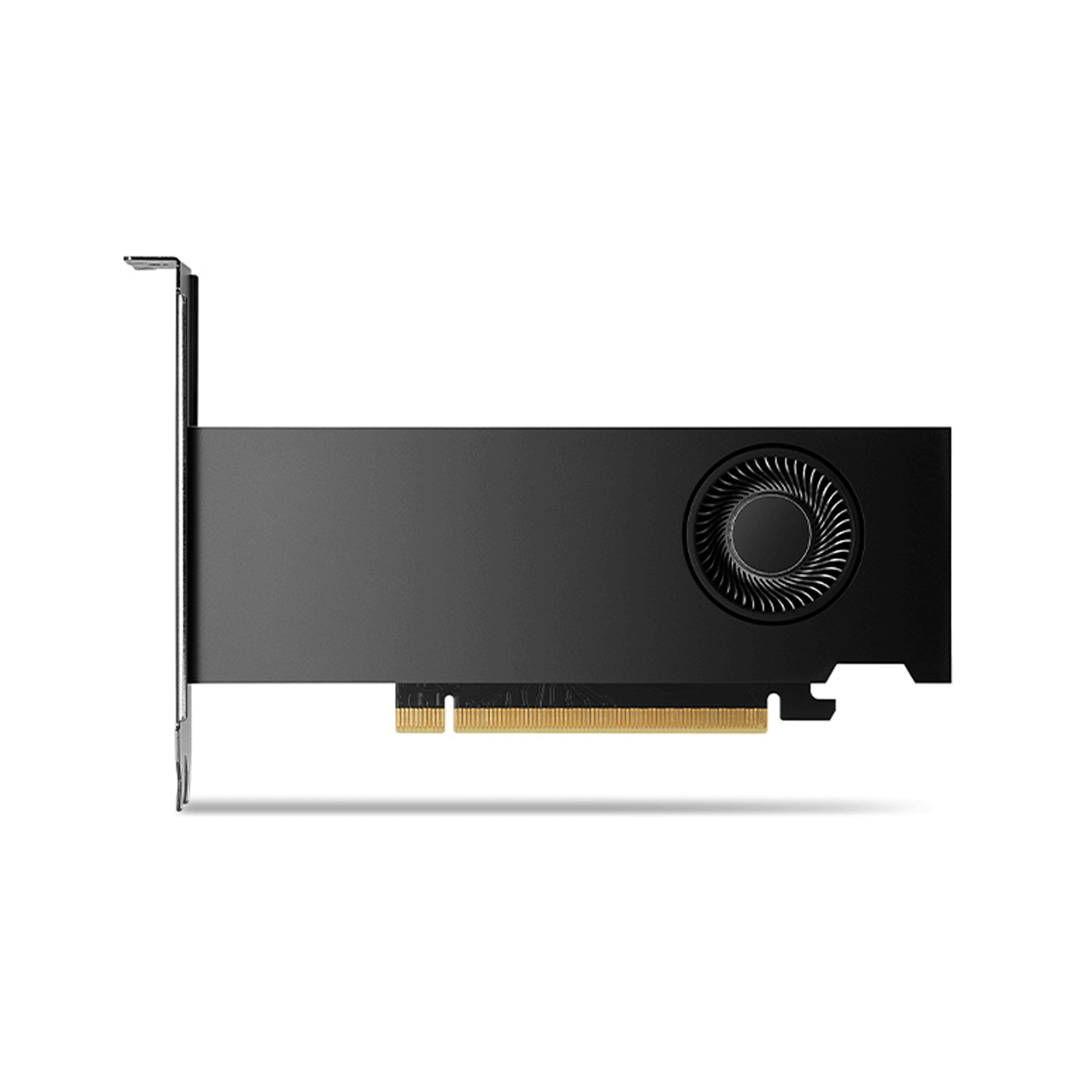 Card màn hình Qleadtek Quadro RTX 2000 Ada Generation 16GB GDDR6 - Ảnh 1