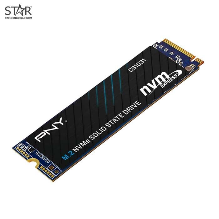 Ổ cứng SSD PNY CS1031 256GB | PCIe Gen3 x4 NVMe, M.2 2280 (M280CS1031-256-CL) - Ảnh 3