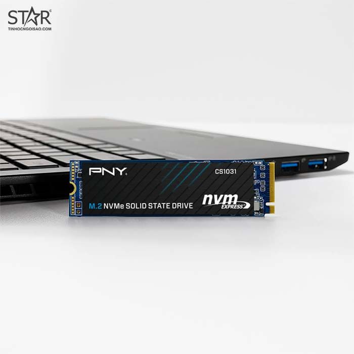 Ổ cứng SSD PNY CS1031 256GB | PCIe Gen3 x4 NVMe, M.2 2280 (M280CS1031-256-CL) - Ảnh 4