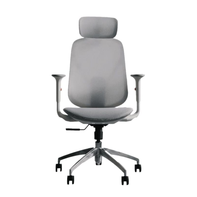 Ghế công thái học Epione ElysChair Cool Gray | Lưng lưới, Kèm tựa đầu, Xám - Ảnh 1
