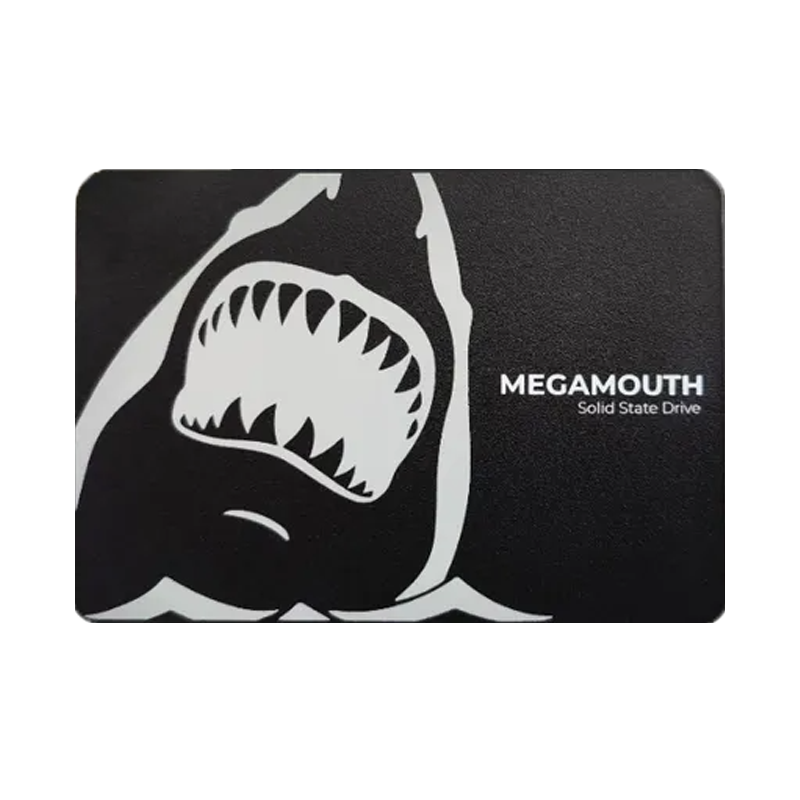 Ổ cứng SSD SSTC M110 Megamouth 256GB | SATA III, 2.5" (MS-M110-256Q) - Ảnh 1