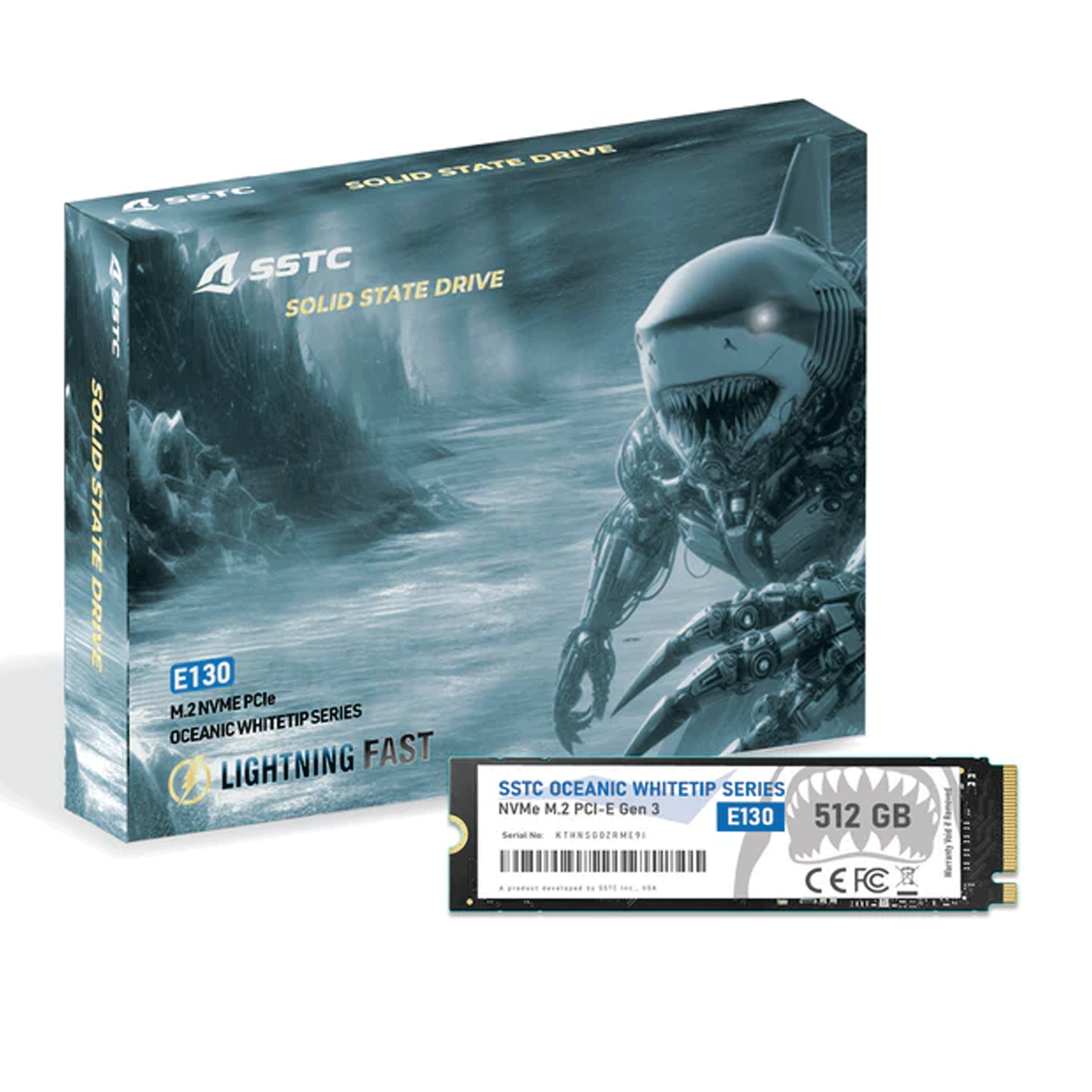 Ổ cứng SSD SSTC E130 512GB | PCIe Gen3 x4 NVMe, M.2 2280 (E130-512GB) - Ảnh 2